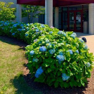 Entrance to the Sheriff's Office